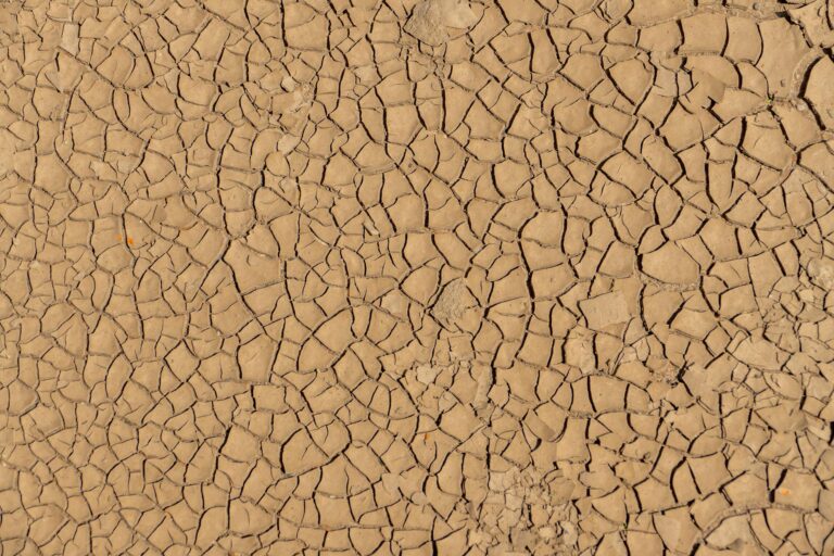 High resolution texture of cracked dry earth typically found in arid environments.