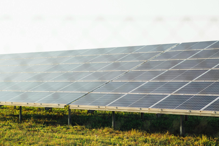 Expansive solar panel array harnessing clean energy in a sunny outdoor field scene.
