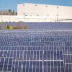 A large solar farm with photovoltaic panels generating renewable energy outdoors.