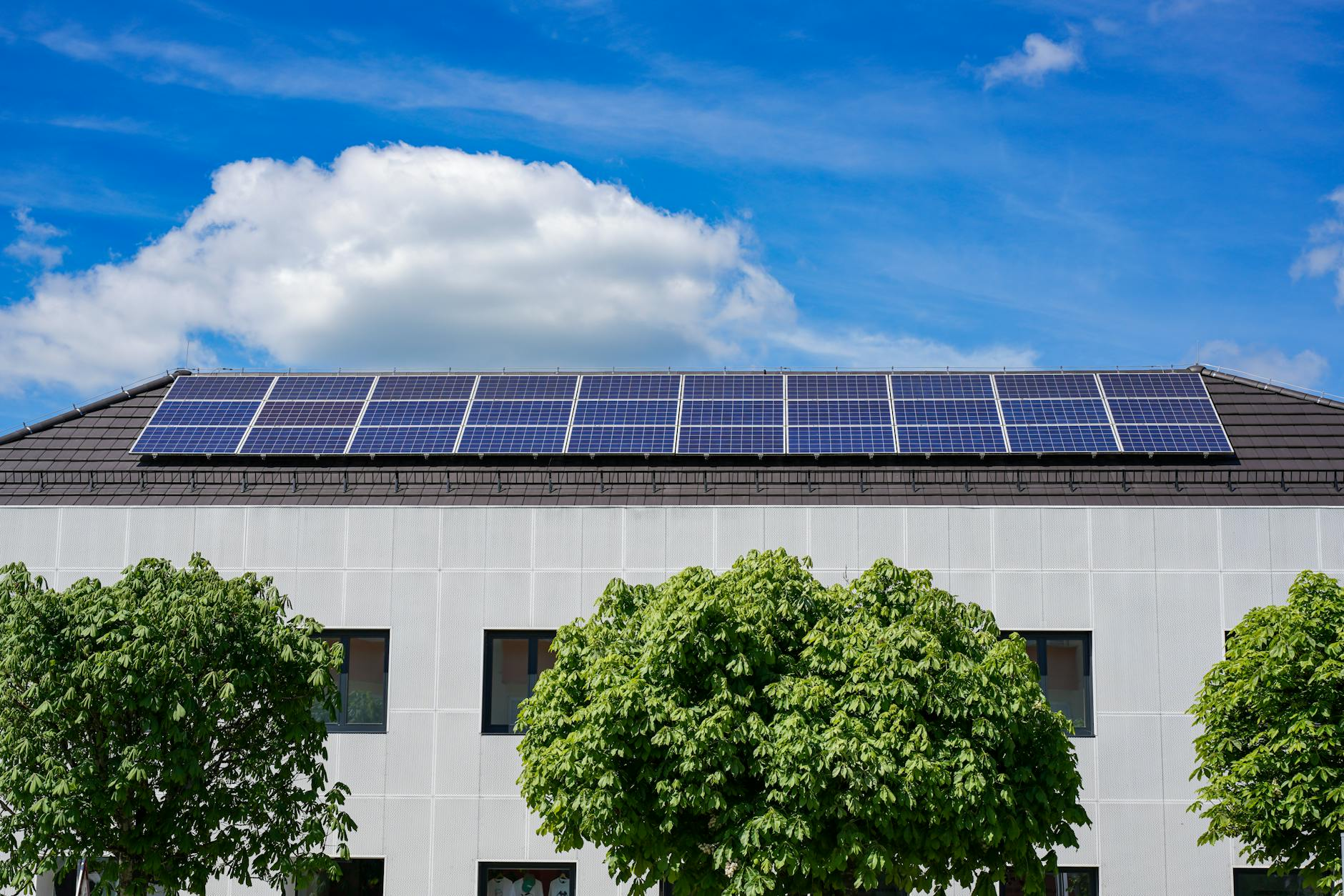 Energy-efficient building topped with solar panels and surrounded by lush trees.