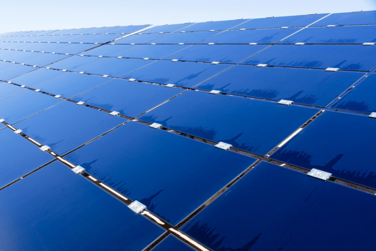 Wide view of solar panels under clear sky, showcasing renewable energy technology.