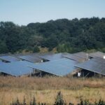 A wide view of solar panels in an open field, showcasing sustainable energy solutions.