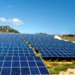 A vast array of solar panels under a clear blue sky, symbolizing renewable energy and sustainability.