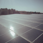 A large expanse of solar panels capturing clean energy under a clear sky.