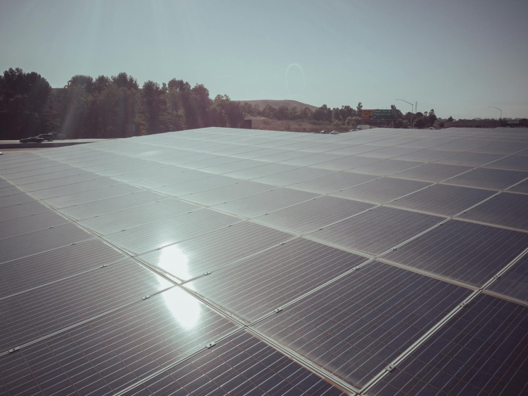 A large expanse of solar panels capturing clean energy under a clear sky.