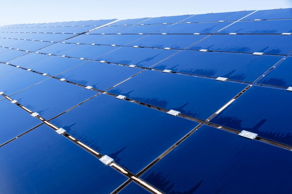 Wide view of solar panels under clear sky, showcasing renewable energy technology.