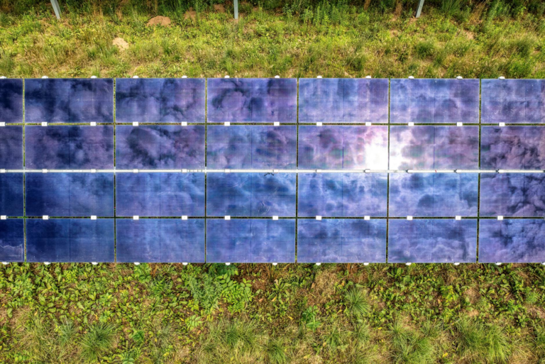 Top view of sustainable energy solar panels on a grassy field in Minnesota.