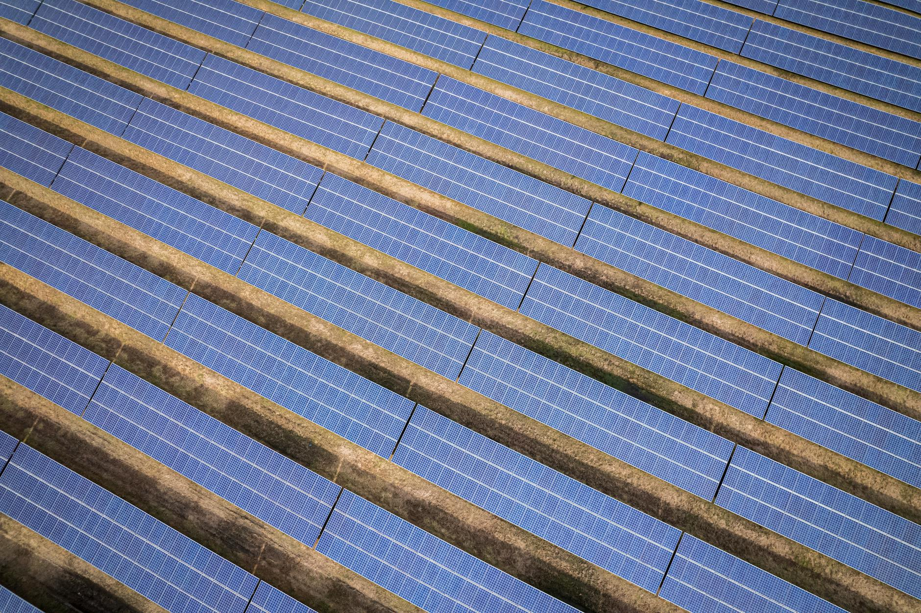 Aerial view of expansive solar panels in Rocky Mount, NC, showcasing renewable energy technology.