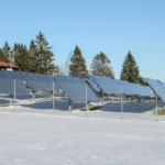 Solar panels in a snowy field with evergreen trees in the background.