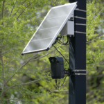 Solar-powered surveillance camera on a street pole surrounded by greenery, highlighting modern urban technology.