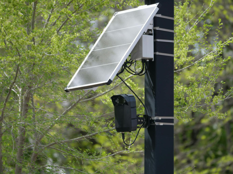 Solar-powered surveillance camera on a street pole surrounded by greenery, highlighting modern urban technology.